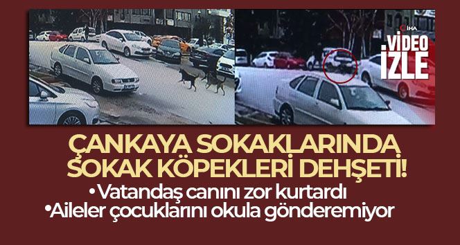 ÇANKAYA