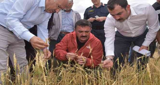 HASAR GÖREN ÇİFTÇİYİ ZİYARET