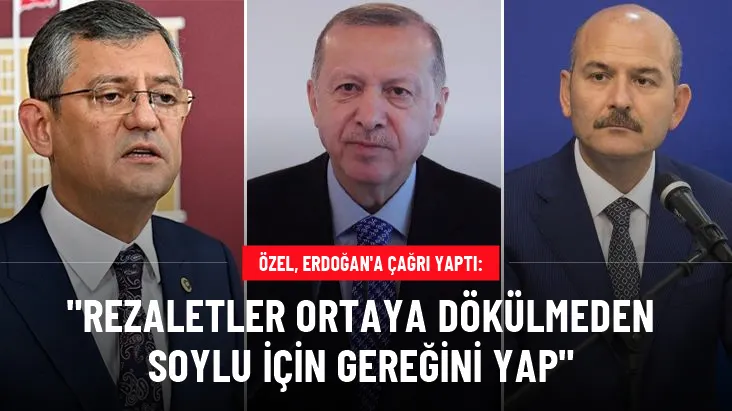 Özel, Erdoğan