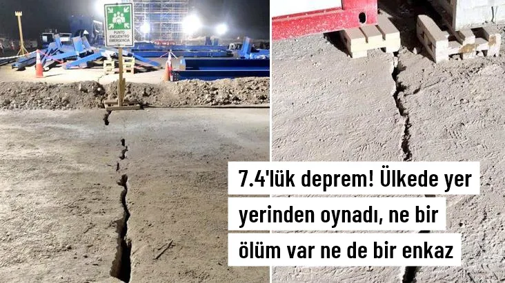 DEPREM BÖLGESİYİZ KEDİ KÖPEKLE UĞRAŞIYORUZ BAŞKA ÜLKELERDEN ÖRNEK ALMIYORUZ: