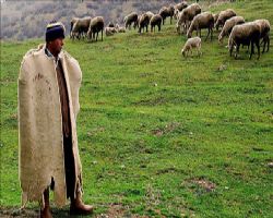 TARIM BAKANI BRANŞINDA OLSA KÖYLERDE GELİŞME OLACAK.KANATIN DAYIZ.