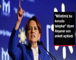 AKŞENER ANKET SONUÇLARINI AÇIKLADI.