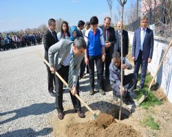 ATATÜRK ANADOLU LİSESİ ŞEHİTLERİMİZ ADINA AĞAÇ DİKTİ