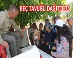 Kırıkkale de köylere Beç Tavuğu dağıtımı yapıldı
