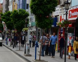 Zafer Caddesi çiçeklerle süslendi