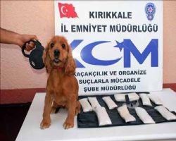 KIRIKKALE  EMNİYETİNİN BAŞARILI KÖPEĞİ LEYDİ AF ETMİYOR