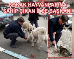 BAŞKAN KURTLAR ERGENE KONU BIRAKTI MI? SOKAK KÖPEKLERİ İLE İLGİLENİYORSUN YİNEDE SAĞ OLASIN.