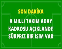 Son Dakika! A Milli Takım'ın 4 Maçlık Aday Kadrosu Açıklandı